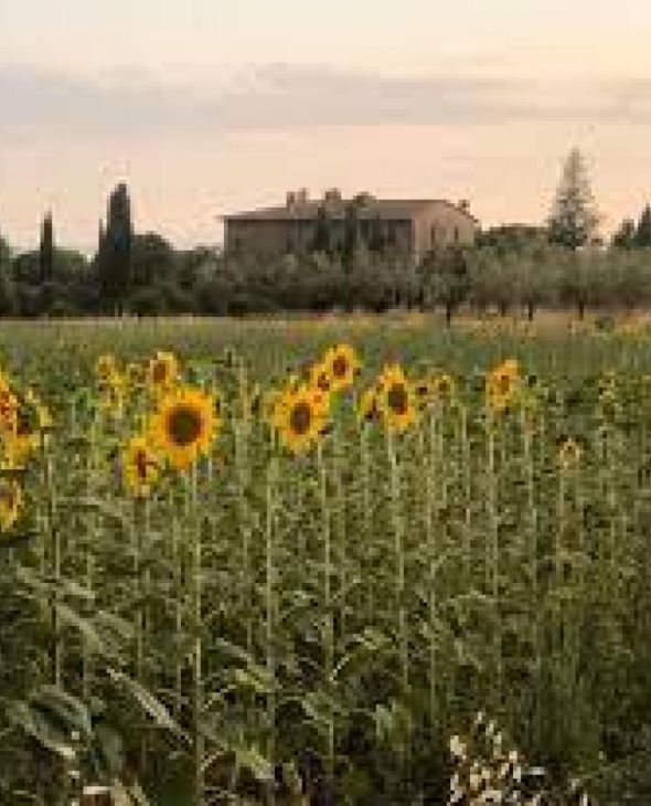 Azienda Agraria Baldeschi