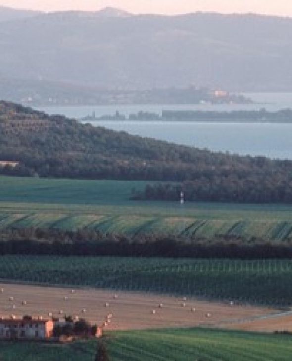 Tenuta Lamborghini  srl