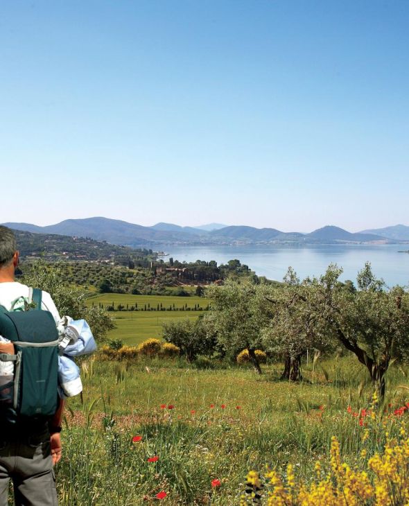 Trasimeno Family