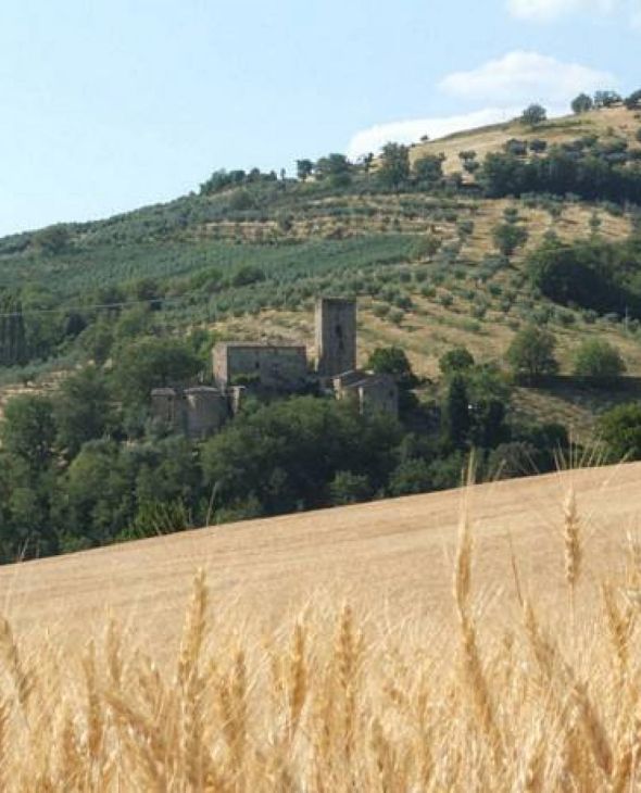 7. Coltavolino - Monte Acutello, Lago Trasimeno, Umbrien