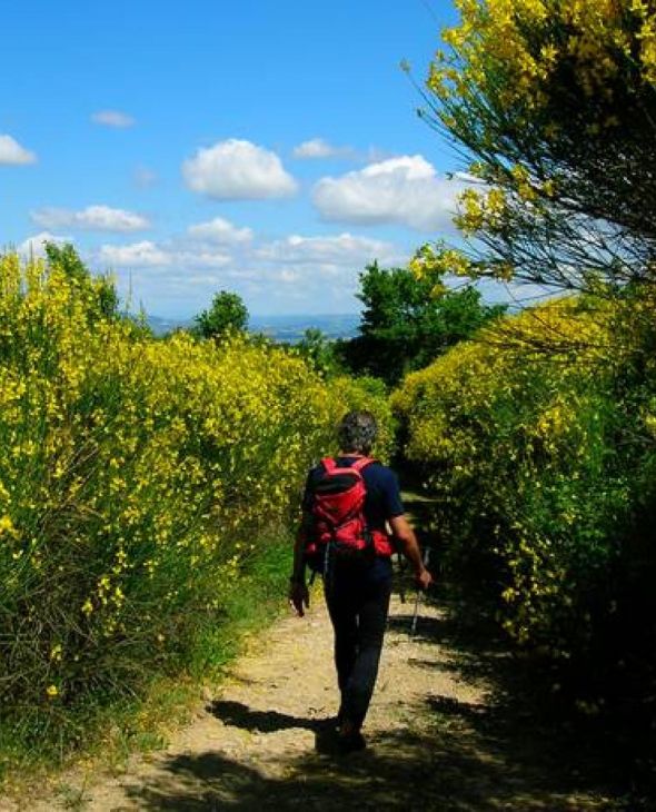 10. Serra Partucci - Valle della Reggia - Monte San Faustino, Lago Trasimeno, Umbrië