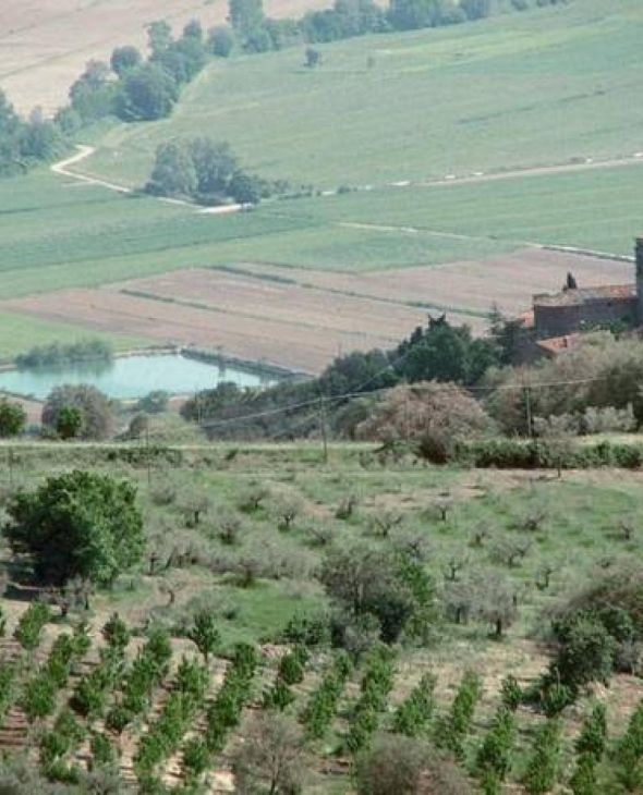 11. La Goga di Magione - Caligiana, Lago Trasimeno, Umbrien