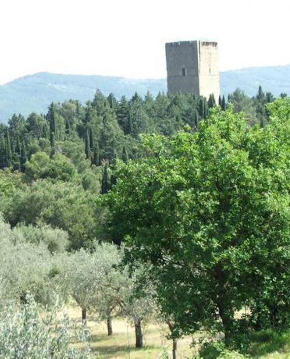 12. Magione - Monte Ruffiano, Lago Trasimeno, Umbrien