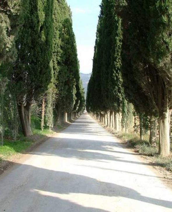 28. Torale - Vernazzano - Cima di Tuoro - Pischiello, Lago Trasimeno, Umbrien