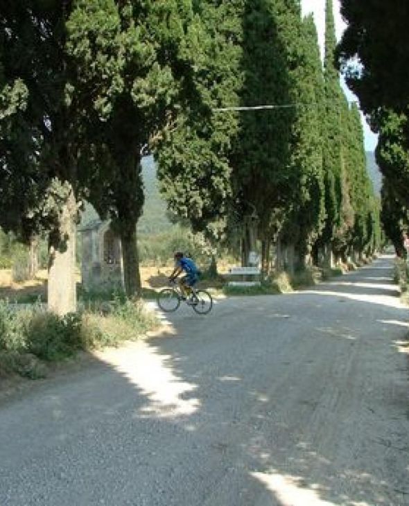 3. Tra lago e collina, Lac Trasimène, Ombrie