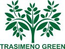 LAKE  Trasimeno Green