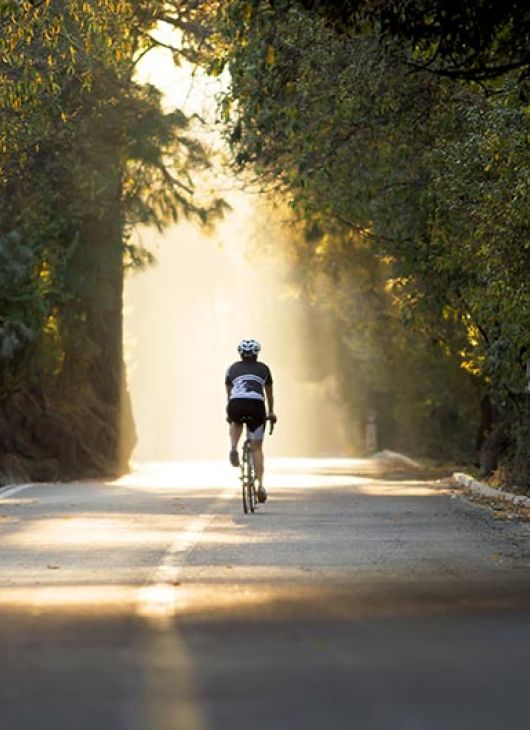 Percorsi in Bicicletta