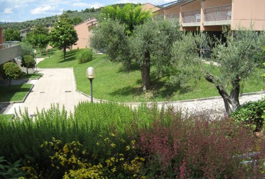 Le Tre Isole (Villaggio Albergo) - 10