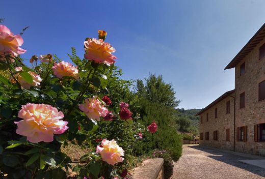 Agriturismo San Severo - 1