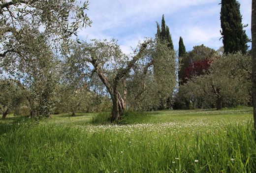Agriturismo Romitorio di Bacoccoli  Giulia - 3
