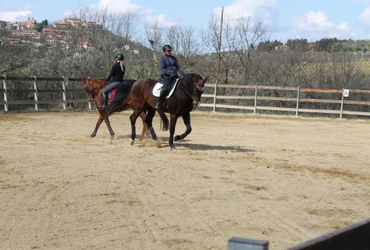 Centro Ippico Poggio del Pero - 4