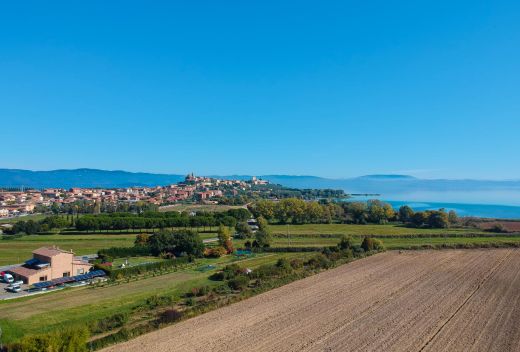 Associazione Strada del Vino Colli del Trasimeno - 4