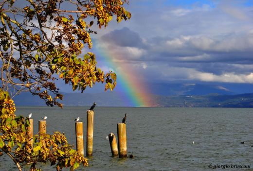 Trasimenoboats - 2