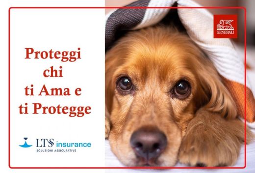 Generali Assicurazioni - LTS  Insurance - 2