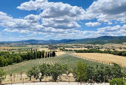 Agriturismo Libera Lepre Centumbrie - cucina e cantina - 4