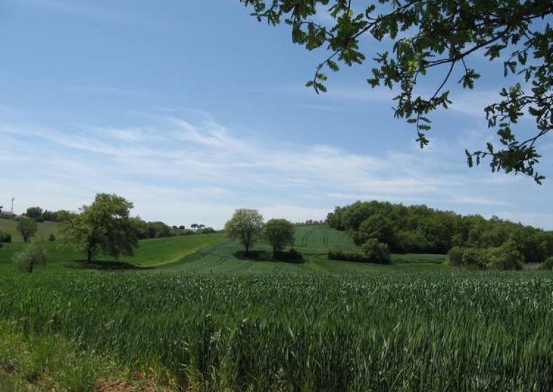 6. Ferretto - Petrignano, Lago Trasimeno, Umbrien 0