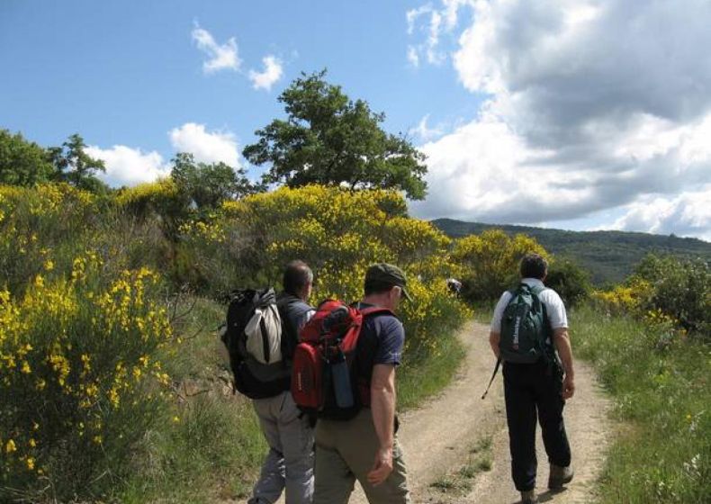 27. Sanguineto - Montegualandro, Lago Trasimeno, Umbrien 0