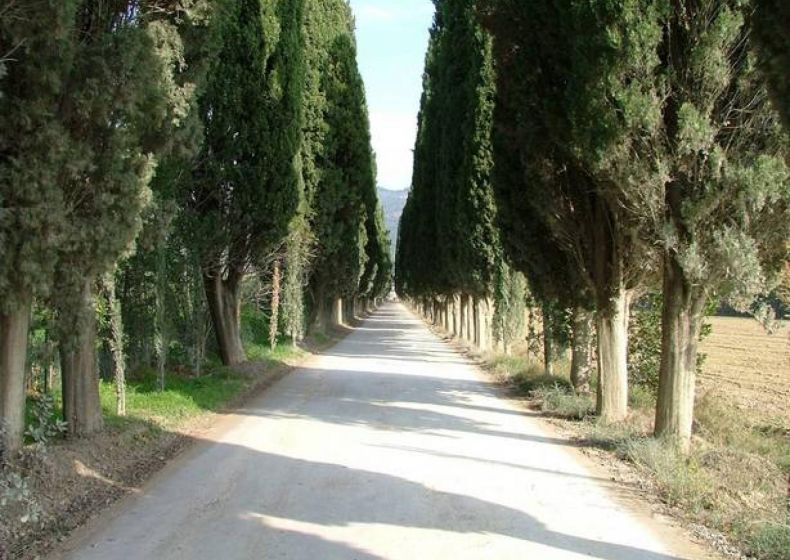 28. Torale - Vernazzano - Cima di Tuoro - Pischiello, Trasimenomeer, Umbrië 0