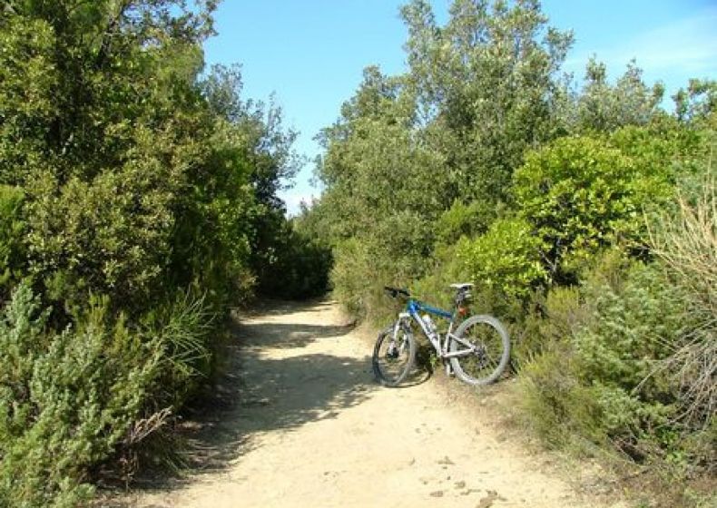 19. Castelleone - Monte Le Cinque Querce, Lago Trasimeno, Umbrien 0
