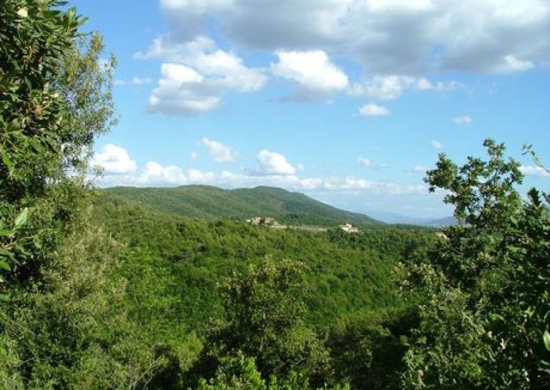 20. Le colline a sud di Bettona, Lac Trasimène, Ombrie 0