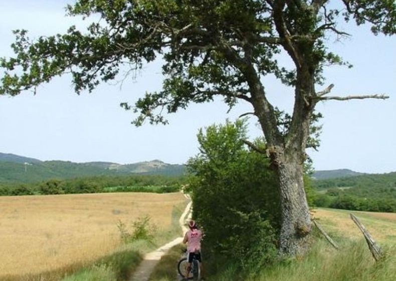 24. I boschi di Pian Salto, Lago Trasimeno, Umbrien 1