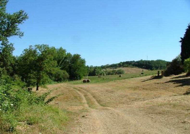 25. Tra Fersinone e Nestore, Trasimenomeer,  Umbrië 0