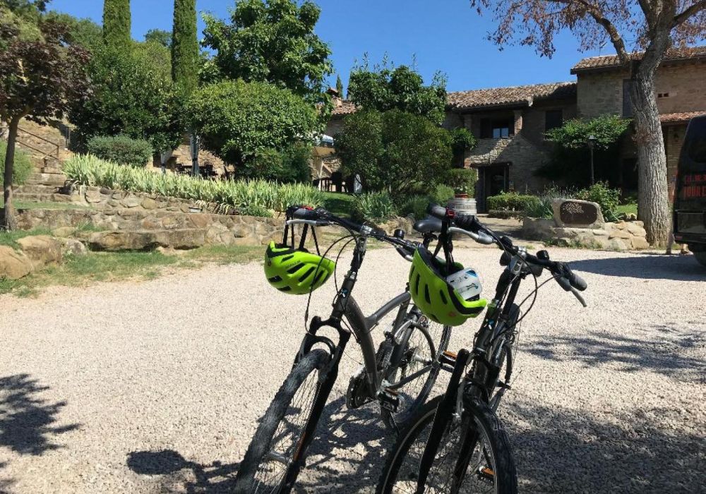 Agriturismo Le Terre di Isa - 3