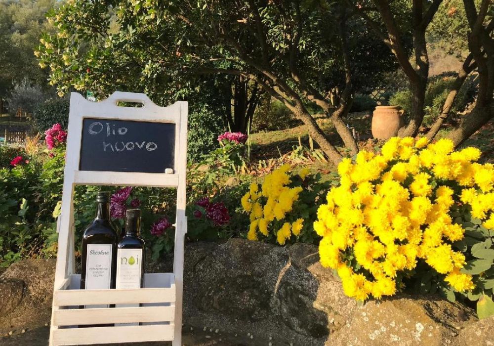 Agriturismo Le Terre di Isa - 5