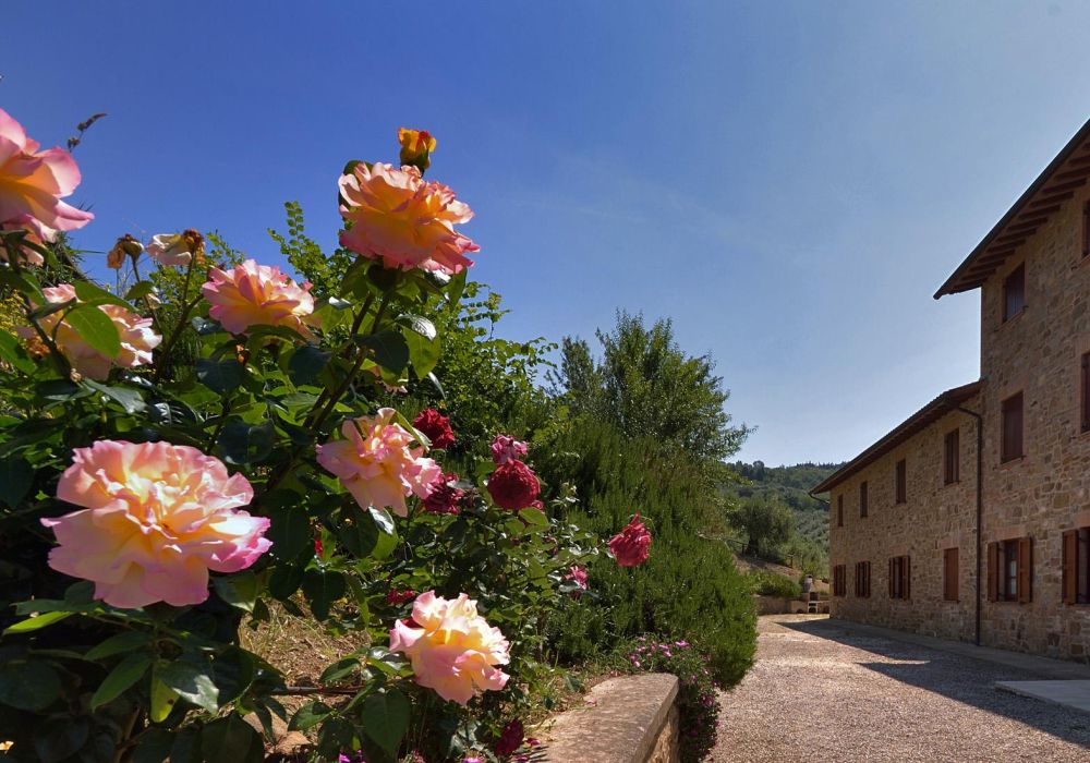 Agriturismo San Severo - 1