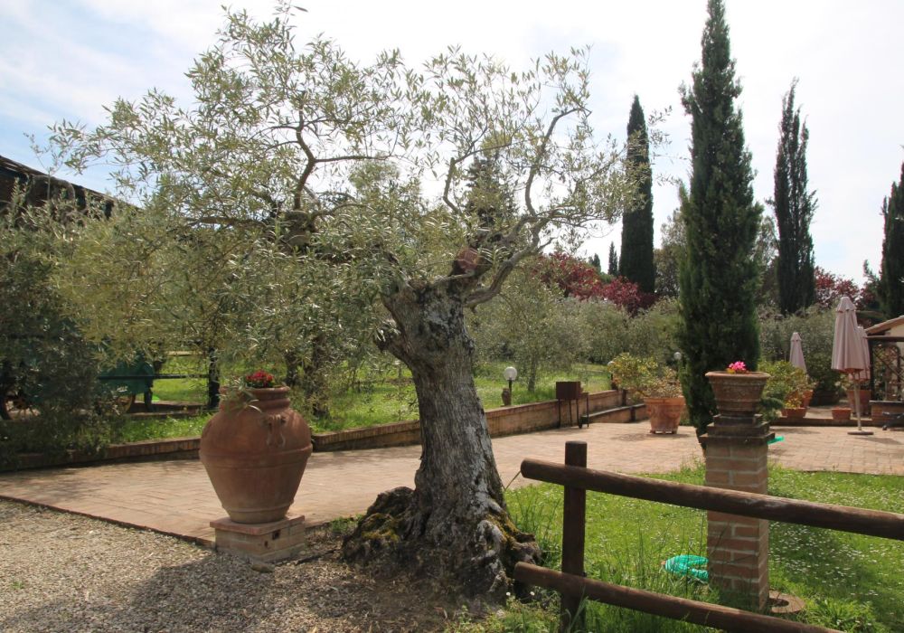Agriturismo Romitorio di Bacoccoli  Giulia - 4