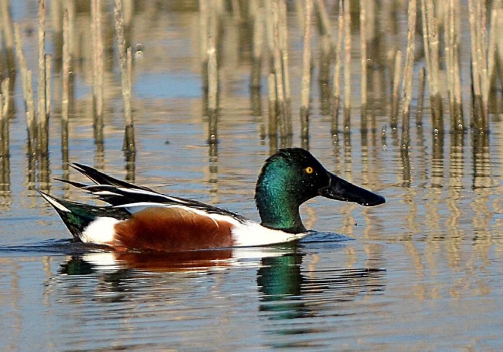 Oasi Naturalistica La Valle - 6