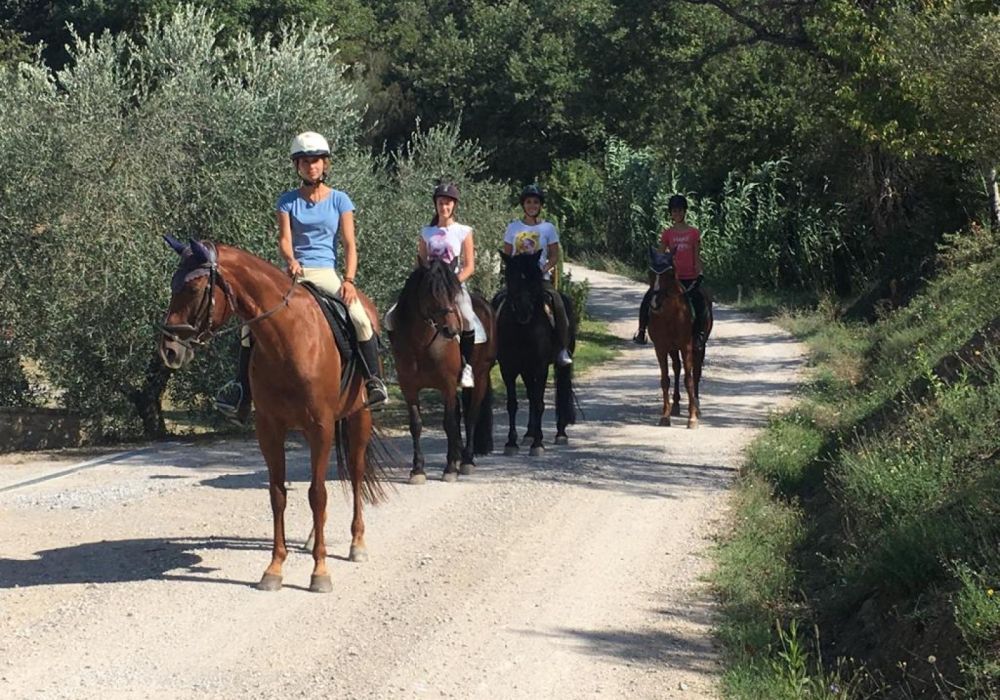 Centro Ippico Poggio del Pero - 7