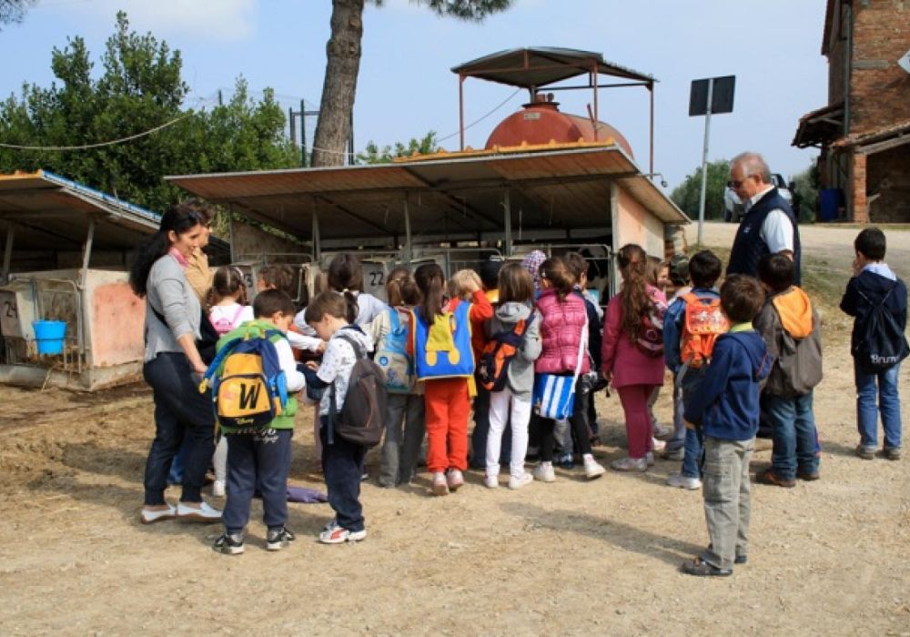 Azienda Agricola  La Cerreta - 7