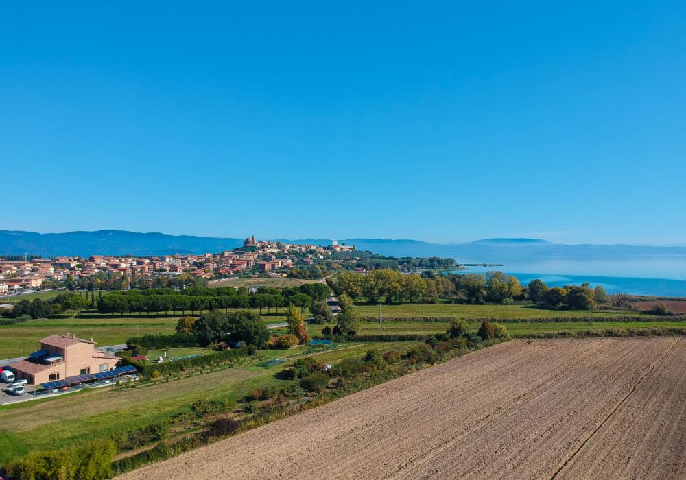 Associazione Strada del Vino Colli del Trasimeno - 4