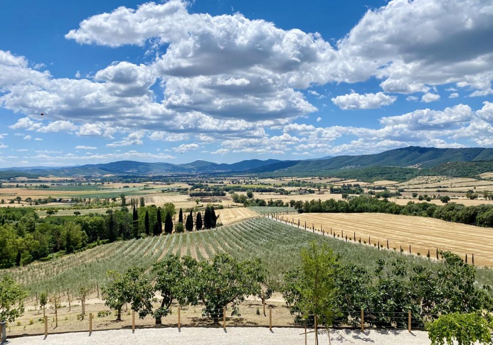 Agriturismo Libera Lepre Centumbrie - cucina e cantina - 4